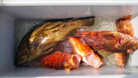 康仁丸・ジギング釣り果